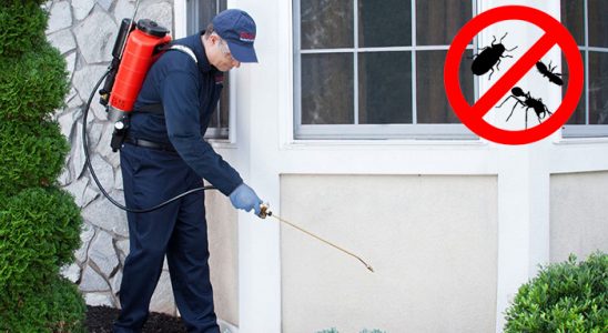 Korgan Gümüşkurt İlaçlama böcek ilaçlama ve haşere kontrolü — ilaclama-tr.com